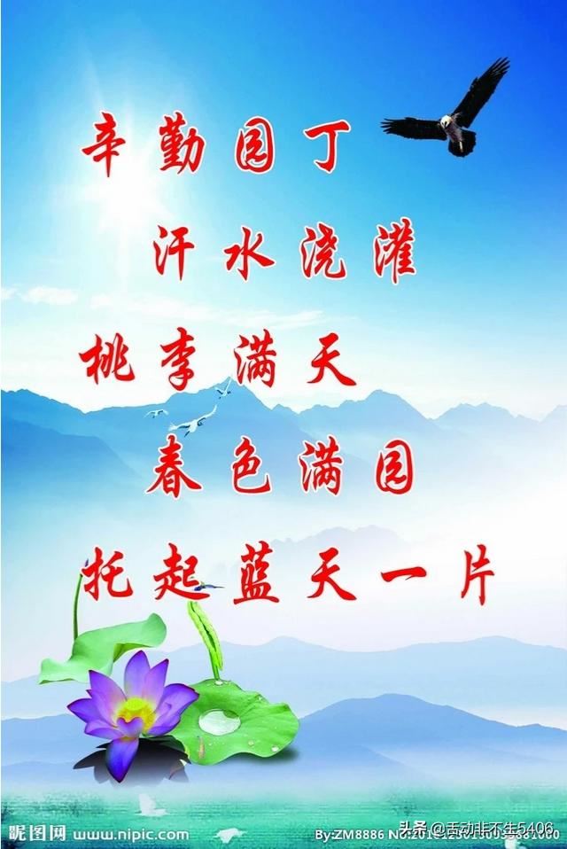 小学毕业给班主任女老师铁观音茶叶好么？
