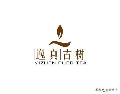 想送领导一盒茶叶，送什么茶叶好呢？