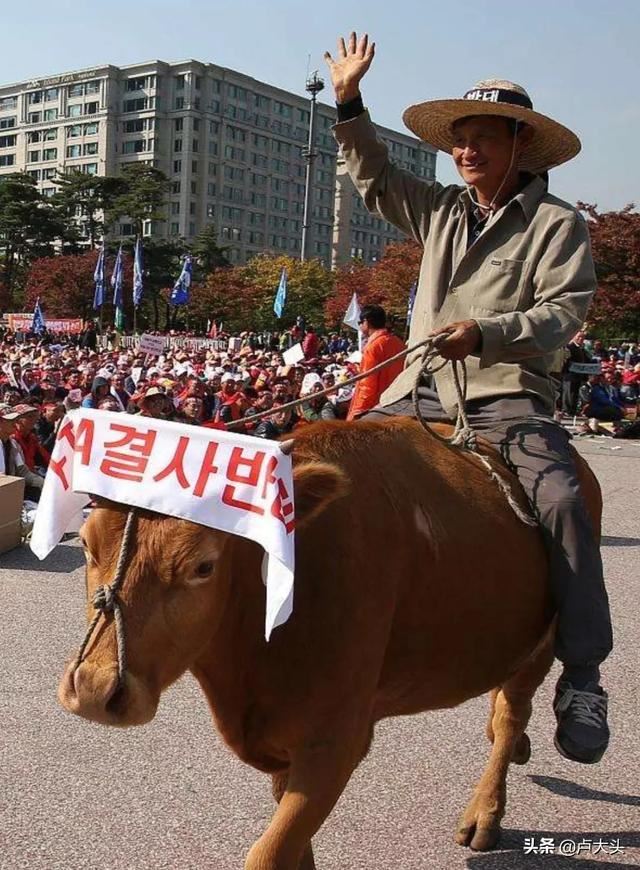 为什么韩国的牛肉这么贵？
