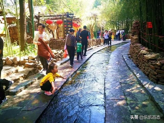 要拿第一份工资了，想给父母买礼物，什么好？