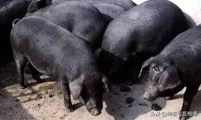 和男朋友分手送什么礼物好，分手礼物送什么比较有意义？
