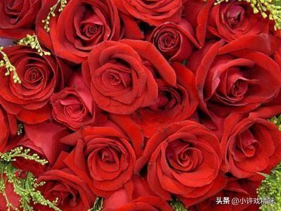 520应该送女友什么礼物比较好呢？