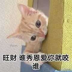 520情人节送什么礼物？