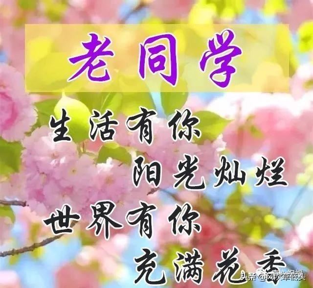 送同学八个字什么字好？