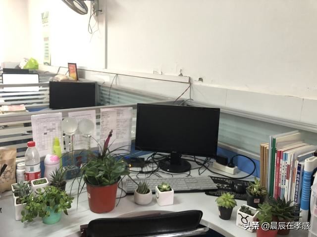 幼儿园教师节应该送老师什么礼物？