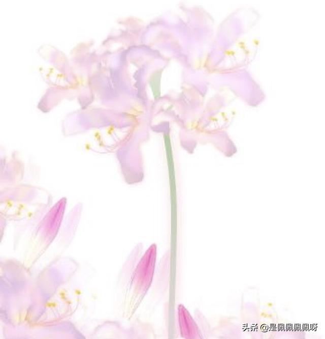请问一下朋友新家稳居最适合送什么礼物表达心意？