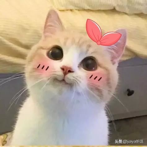平常送女朋友什么礼物比较浪漫？