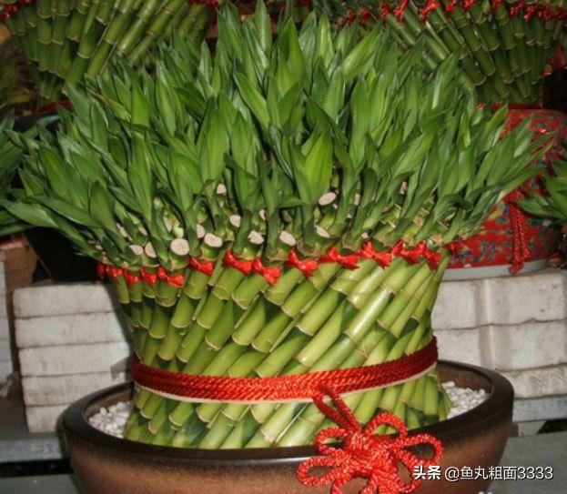 回答朋友搬家了,送什么礼物好?