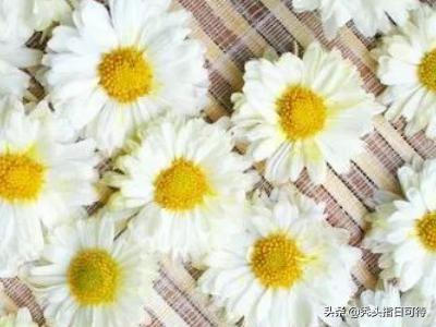 杭州十大特产是什么？