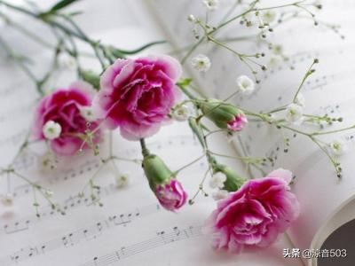 回答母亲节快要到了,你准备送给妈妈什么礼物呢?