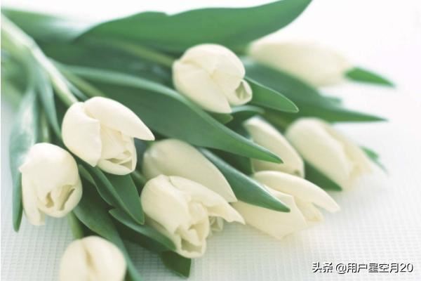 回答女朋友过生日千万不能送什么礼物?