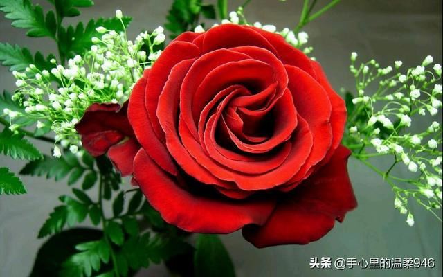 女性朋友过生日送什么比较好？