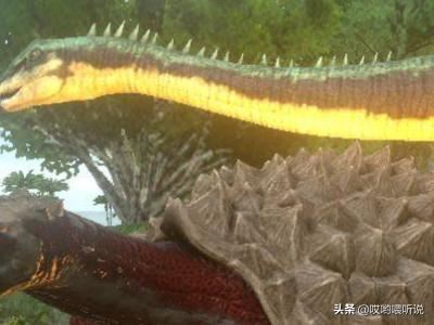 方舟生存进化迅猛龙怎么抓？