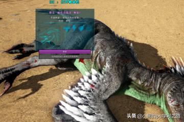 方舟生存进化迅猛龙怎么抓？