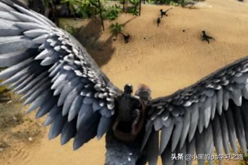 方舟生存进化迅猛龙怎么抓？