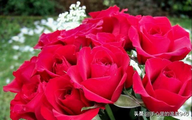 女性朋友过生日送什么比较好？