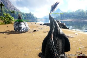 方舟生存进化迅猛龙怎么抓？