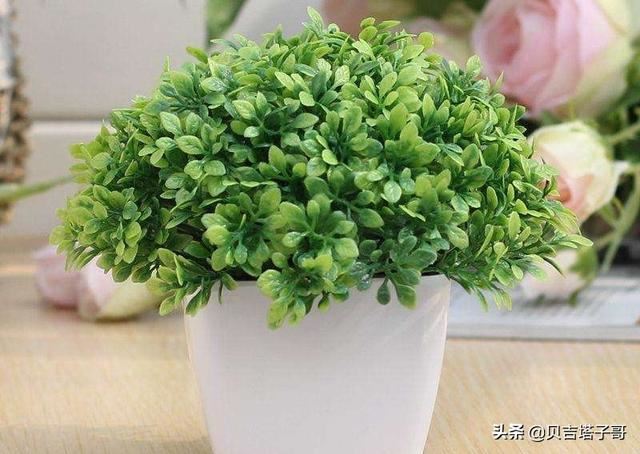 教师节送男老师什么礼物好啊？