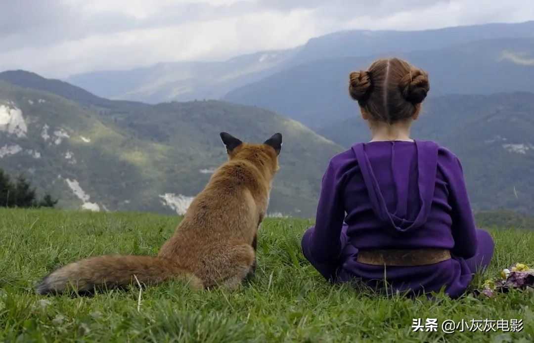 有没有什么亲子电影可以和十一岁的男孩看的？