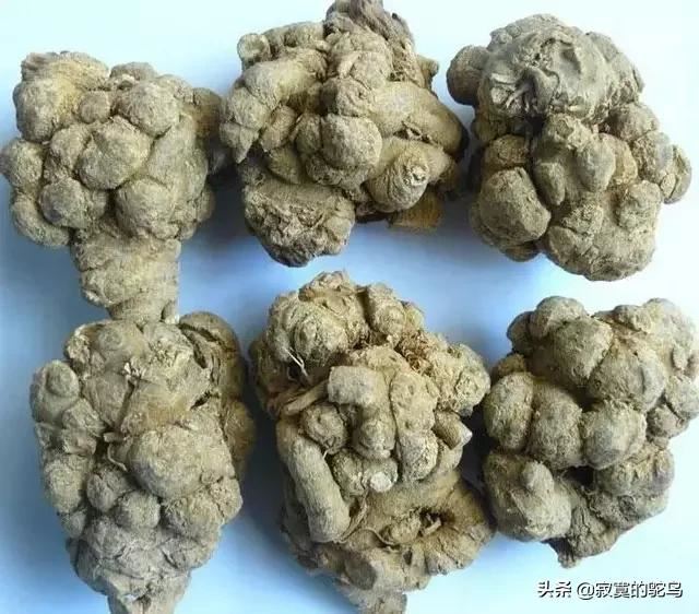 云南那边有什么特产可以带回来送礼的？