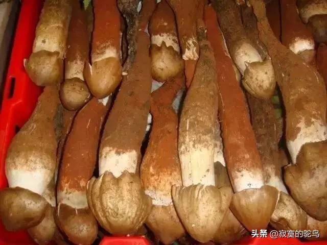 云南那边有什么特产可以带回来送礼的？