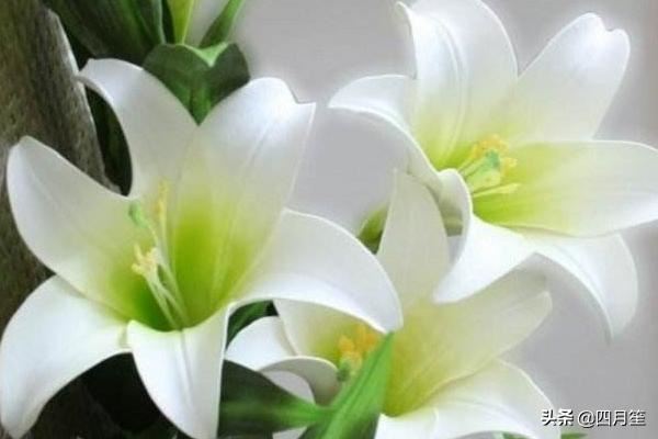 老师结婚送什么礼物？