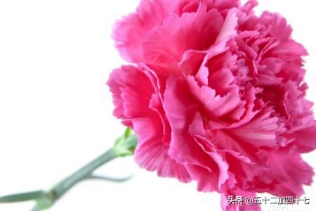 母亲节送什么礼物实用？