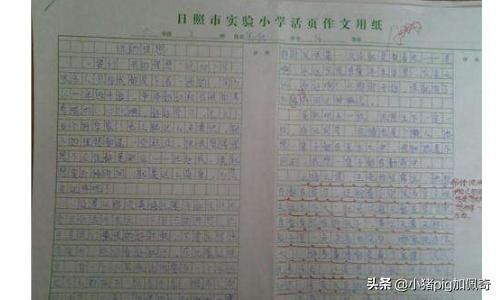 回答写一篇关于扬州大学重拾“上课礼”观点的作文?