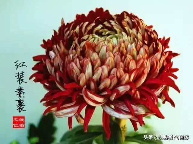 生完小孩去娘家报喜，应该拿什么礼物去？
